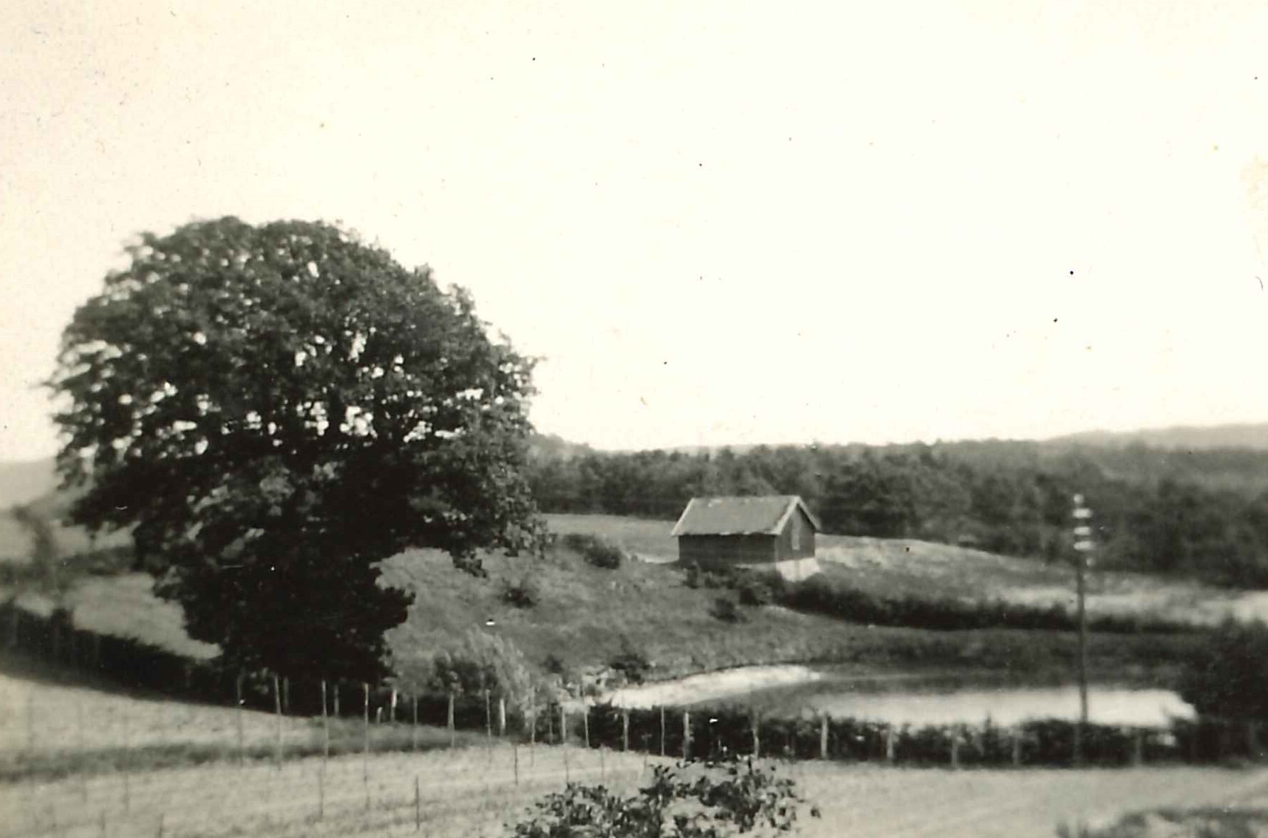 Elevlagets Bilder - Norsk Hagebruksmuseum