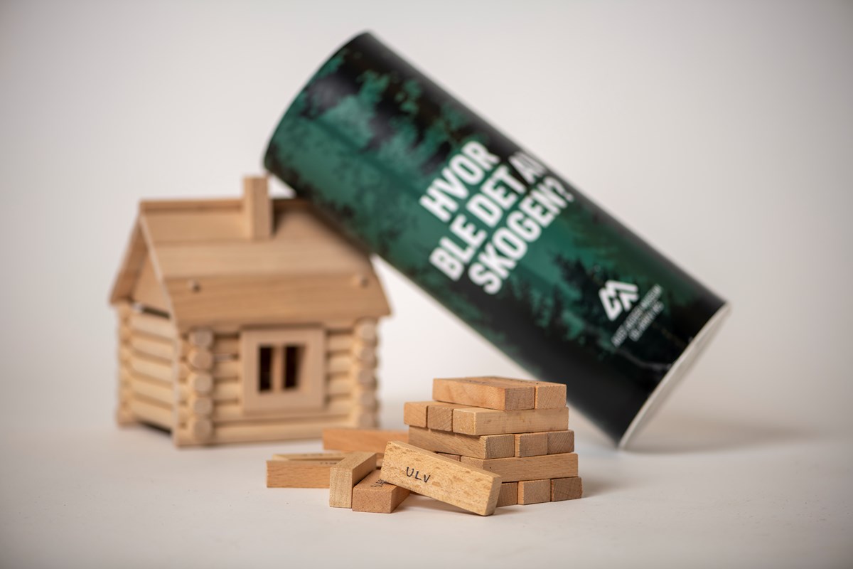 Modell av laftet tømmerhus og boks med Jenga-spill merket "Hvor ble det av skogen.